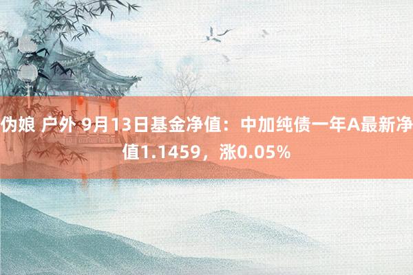 伪娘 户外 9月13日基金净值：中加纯债一年A最新净值1.1459，涨0.05%