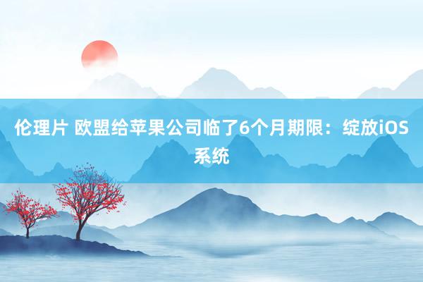 伦理片 欧盟给苹果公司临了6个月期限：绽放iOS系统