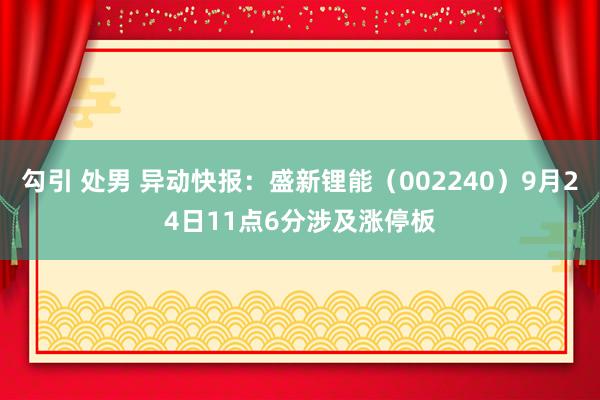 勾引 处男 异动快报：盛新锂能（002240）9月24日11点6分涉及涨停板