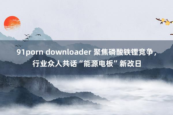 91porn downloader 聚焦磷酸铁锂竞争，行业众人共话“能源电板”新改日