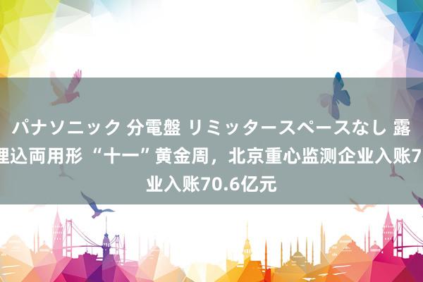 パナソニック 分電盤 リミッタースペースなし 露出・半埋込両用形 “十一”黄金周，北京重心监测企业入账70.6亿元