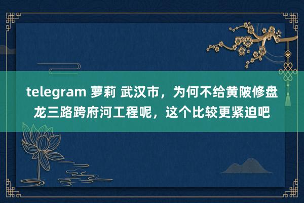 telegram 萝莉 武汉市，为何不给黄陂修盘龙三路跨府河工程呢，这个比较更紧迫吧