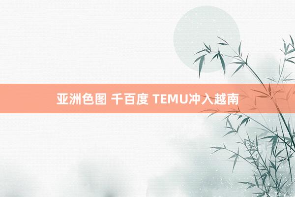 亚洲色图 千百度 TEMU冲入越南