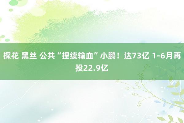 探花 黑丝 公共“捏续输血”小鹏！达73亿 1-6月再投22.9亿