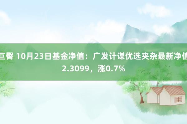 巨臀 10月23日基金净值：广发计谋优选夹杂最新净值2.3099，涨0.7%