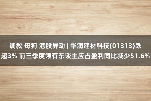 调教 母狗 港股异动 | 华润建材科技(01313)跌超3% 前三季度领有东谈主应占盈利同比减少51.6%