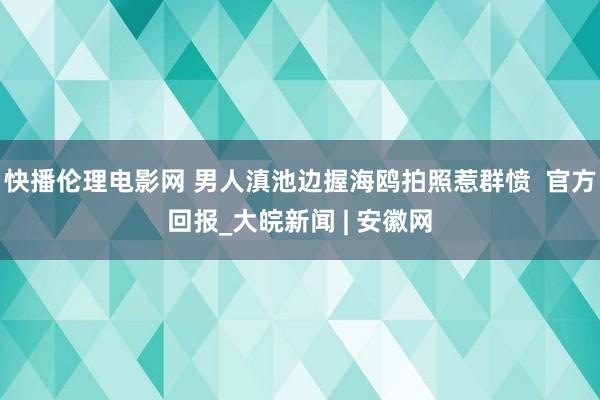 快播伦理电影网 男人滇池边握海鸥拍照惹群愤  官方回报_大皖新闻 | 安徽网