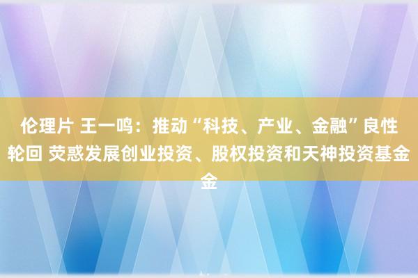 伦理片 王一鸣：推动“科技、产业、金融”良性轮回 荧惑发展创业投资、股权投资和天神投资基金