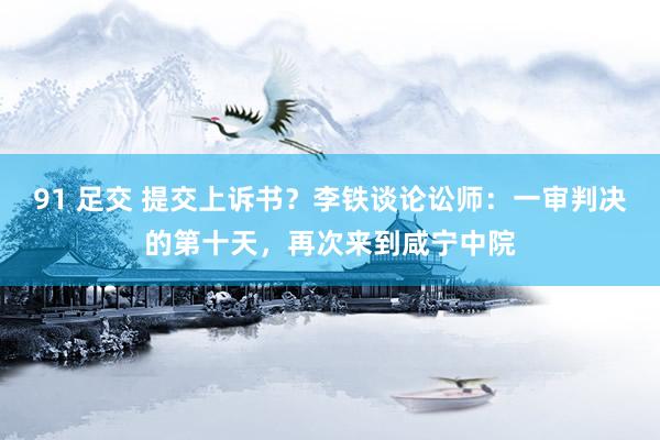 91 足交 提交上诉书？李铁谈论讼师：一审判决的第十天，再次来到咸宁中院