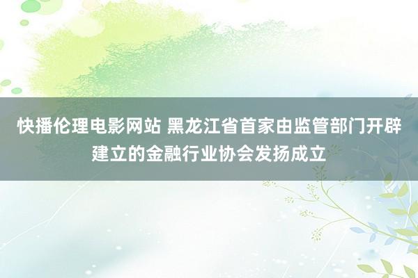 快播伦理电影网站 黑龙江省首家由监管部门开辟建立的金融行业协会发扬成立