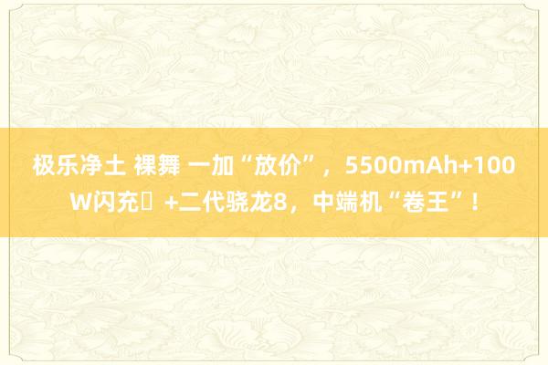 极乐净土 裸舞 一加“放价”，5500mAh+100W闪充‌+二代骁龙8，中端机“卷王”！