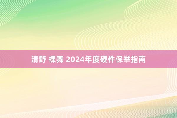 清野 裸舞 2024年度硬件保举指南