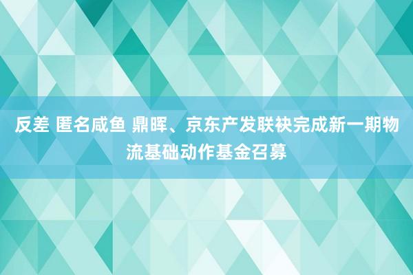 反差 匿名咸鱼 鼎晖、京东产发联袂完成新一期物流基础动作基金召募