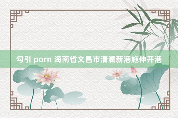 勾引 porn 海南省文昌市清澜新港施伸开港