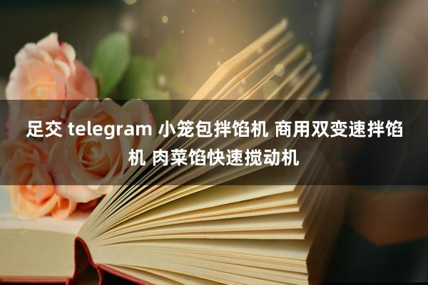 足交 telegram 小笼包拌馅机 商用双变速拌馅机 肉菜馅快速搅动机