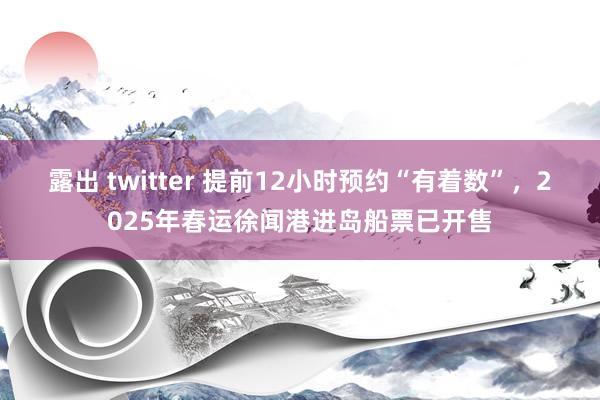 露出 twitter 提前12小时预约“有着数”，2025年春运徐闻港进岛船票已开售