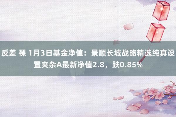 反差 裸 1月3日基金净值：景顺长城战略精选纯真设置夹杂A最新净值2.8，跌0.85%