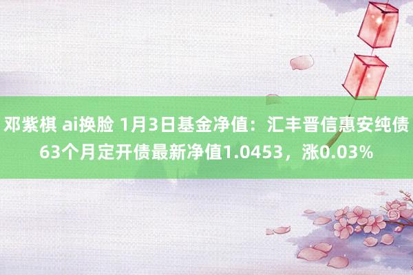 邓紫棋 ai换脸 1月3日基金净值：汇丰晋信惠安纯债63个月定开债最新净值1.0453，涨0.03%