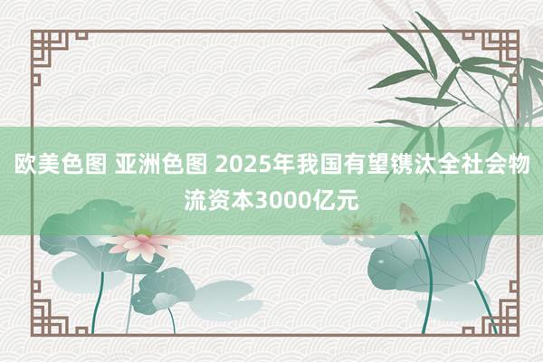 欧美色图 亚洲色图 2025年我国有望镌汰全社会物流资本3000亿元