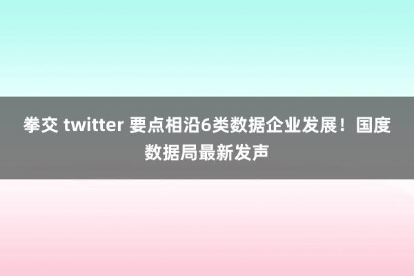 拳交 twitter 要点相沿6类数据企业发展！国度数据局最新发声