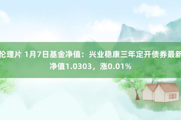 伦理片 1月7日基金净值：兴业稳康三年定开债券最新净值1.0303，涨0.01%