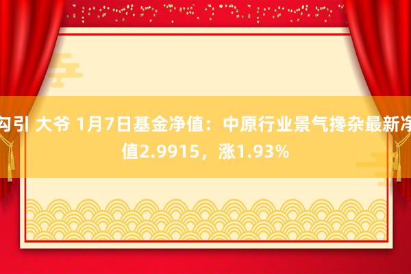 勾引 大爷 1月7日基金净值：中原行业景气搀杂最新净值2.9915，涨1.93%