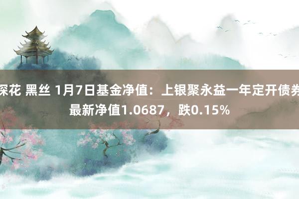 探花 黑丝 1月7日基金净值：上银聚永益一年定开债券最新净值1.0687，跌0.15%