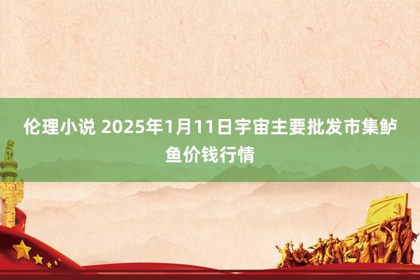 伦理小说 2025年1月11日宇宙主要批发市集鲈鱼价钱行情