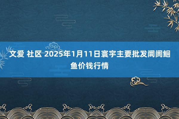 文爱 社区 2025年1月11日寰宇主要批发阛阓鮰鱼价钱行情