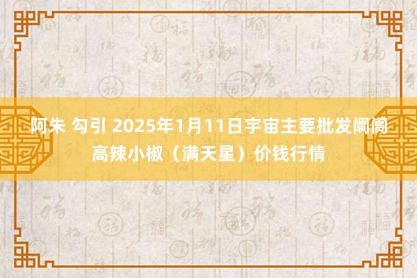 阿朱 勾引 2025年1月11日宇宙主要批发阛阓高辣小椒（满天星）价钱行情