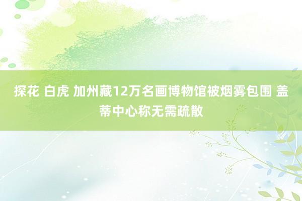 探花 白虎 加州藏12万名画博物馆被烟雾包围 盖蒂中心称无需疏散