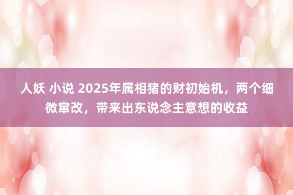 人妖 小说 2025年属相猪的财初始机，两个细微窜改，带来出东说念主意想的收益